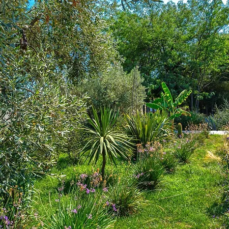 Utopia Eco Retreat * Skiathos