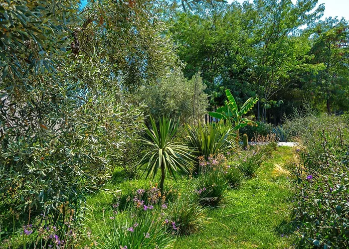 Utopia Eco Retreat * Skiathos stad